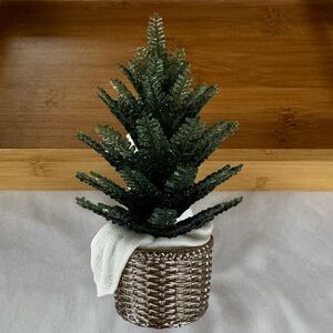 BBW Wallflower Plug, Nightlight, Evergreen Tree